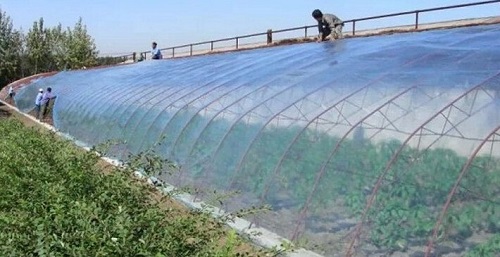 大棚吹膜用哪種增白劑？